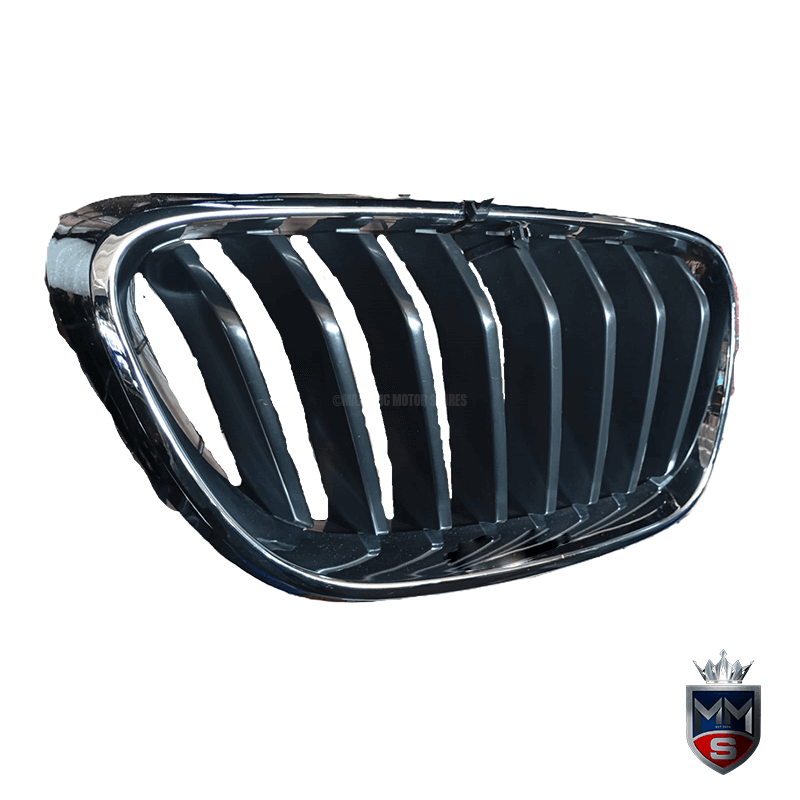 BMW F30 KIDNEY GRILLE
