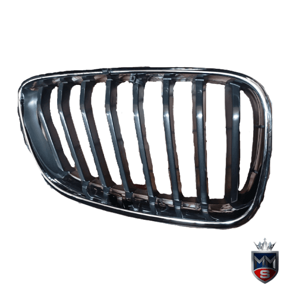 BMW F30 KIDNEY GRILLE 2