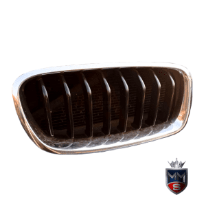 BMW 320i F30 Kidney Grilles