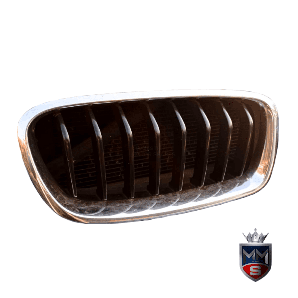 BMW 320i F30 Kidney Grilles