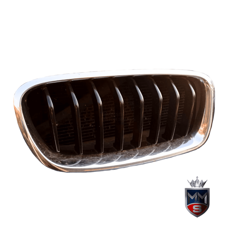 BMW 320i F30 Kidney Grilles