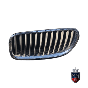 BMW 550i F10 Sedan Kidney Grilles – Used