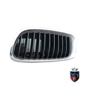 BMW 320i F30 kidney grilles – used
