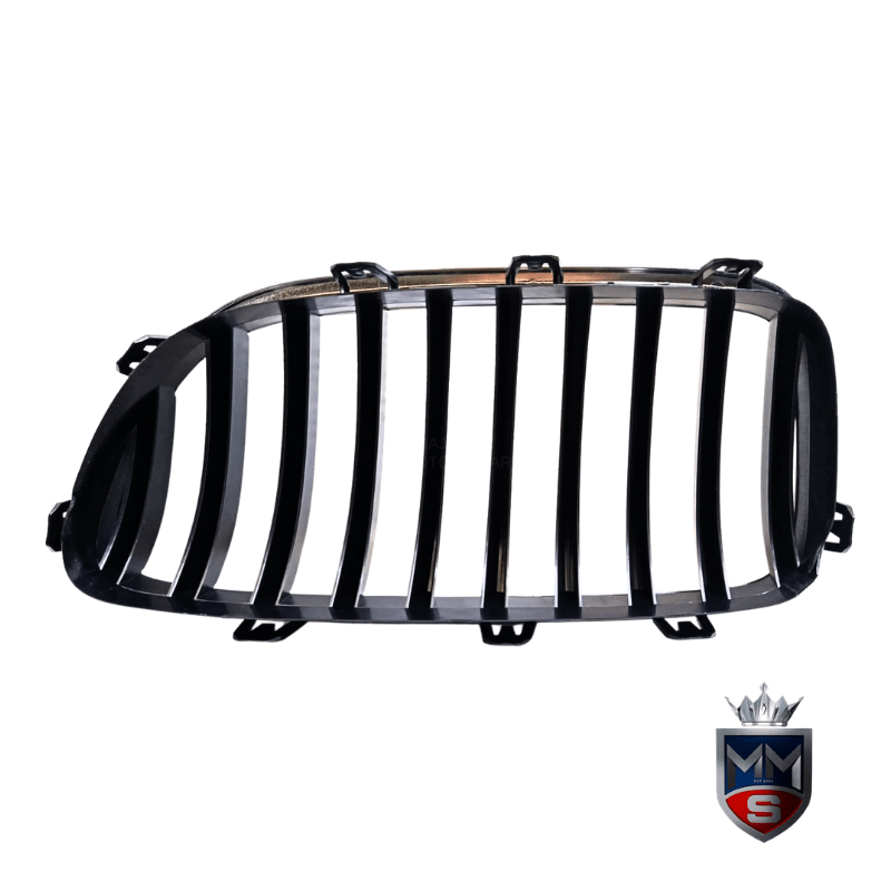 BMW F10 Kidney Grilles - New