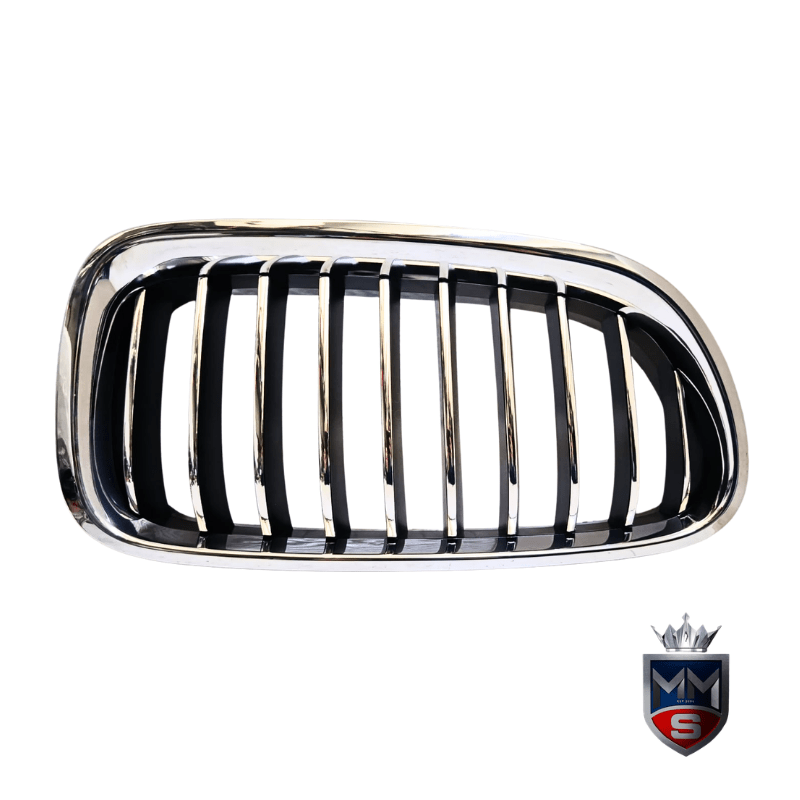 BMW F10 Kidney Grilles - New